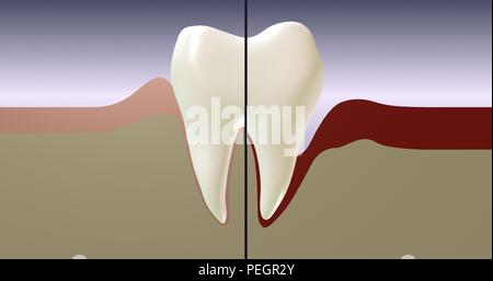 Zahn. Zahnheilkunde und zahnärztliche Versorgung. 3D Rendering Illustration. Stockfoto