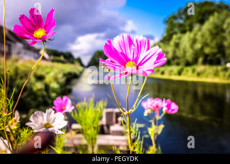 Querformat der Damse-Vaart Chanel in der Nähe der Stadt Brügge im Norden Belgiens Stockfoto