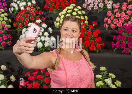 Southport, Merseyside, UK. 15 Aug, 2018. Shelley Harrison aus Liverpool Großhandel Blumen am letzten Tag der Vorbereitungen für Flower Show als Aussteller, Garten Designer, und floralen Künstler hinzufügen, um den letzten Schliff an die Exponate die Besucher zu diesem berühmten jährlichen Ereignis zu Wow. Kredit; MediaWorldImages/AlamyLiveNews Stockfoto