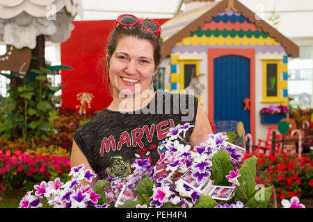 Southport, Merseyside, UK. 15 Aug, 2018. Ester Nemeth mit Strepocarpus zimmerpflanzen von Dibleys Baumschulen. Der letzte Tag der Vorbereitungen für Flower Show als Aussteller, Garten Designer, und floralen Künstler hinzufügen, um den letzten Schliff an die Exponate die Besucher zu diesem berühmten jährlichen Ereignis zu Wow. Kredit; MediaWorldImages/AlamyLiveNews Stockfoto