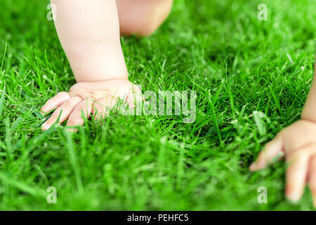 Close-up baby Krabbeln durch grüne Rasen. Details Baby hand Walking im Park. Kind, das in der Entdeckung und Erkundung der Natur und der Erde. Stockfoto