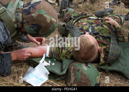 Sgt. 1. Klasse Vadim Konoplov (links), ein Arzt mit der ukrainischen National Guard, gilt ein Katheter in eine fiktiv - verletzte Soldat 22.08.2015, als Teil der Gruppe live Fire Training während der UNERSCHROCKENEN Wächter in Yavoriv, Ukraine. Die Ausbildung beteiligt, mehrere Aufgaben gleichzeitig, dass die wachposten von fallschirmjäger mit 173Rd Airborne Brigade der US-Armee während des vorhergehenden Monats gelernt haben. Fallschirmjäger von der 173Rd Abn. Bde. Sind in der Ukraine für die zweite von mehreren geplanten Rotationen der Ukraine neu gegründete Nationalgarde als Teil von Fearless Wächter, die festgelegt wird, durch Nove zum letzten Zug Stockfoto