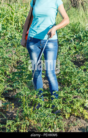 Weibliche Gärtner ist der Schutz Kartoffeln Pflanzen aus pilzlichen Krankheiten oder Schädlinge mit Druck Sprüher im Garten Stockfoto