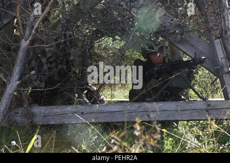 Ein Deutscher Soldat 31 Fallschirmjäger Regiment 1 Airborne Brigade Security bietet während der Durchführung eines Angriffs während der Übung die schnelle Reaktion 15 bei der US Army Joint Multinational Readiness Center in Hohenfels, Deutschland, 27.08.2007 2015. Der Zweck der Übung ist es, gemeinsame und kombinierte Ausbildung Veranstaltungen durchzuführen, um Brigade und Bataillon ebene Durchführung von Strategischen heraus - Belastung in Verbindung mit den alliierten Partner Nationen über eine zwischengeschaltete staging Basis zu bewerten. Schnelle Reaktion 15 ist der US-Armee größte kombinierte Airborne Schulungsveranstaltung in Europa seit dem Ende des Kalten Krieges. Stockfoto