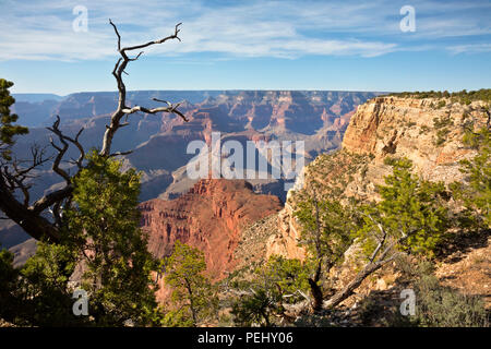 AZ 00270-00 ... Arizona - Blick auf den Colorado River von Rim Trail in der Nähe des Abgrunds, entlang der Einsiedler Straße in Grand Canyon National Park. Stockfoto