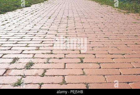 Nahaufnahme der Weg aus rotem Backstein mit kleinen Büschen von Gras zwischen die Ziegelsteine und Sonnenlicht Sonnenuntergang Reflexion über einen Pfad Stockfoto