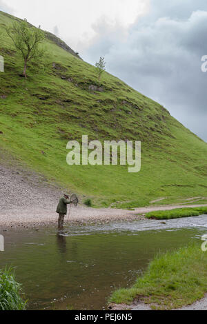 Fliegenfischen am Fluss Dove in der Nähe von Thorpe Cloud, Dovedale, Derbyshire Stockfoto