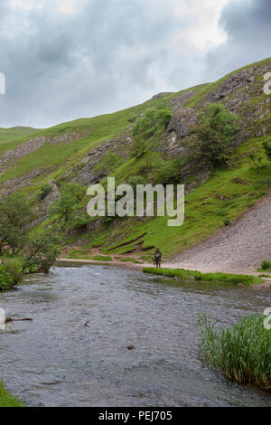 Fliegenfischen am Fluss Dove in der Nähe von Thorpe Cloud, Dovedale, Derbyshire Stockfoto