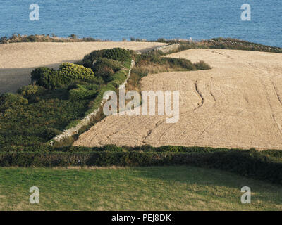 East Prawle, South Hams, Devon, Großbritannien Stockfoto