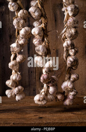 Geflochtene organische italienische Knoblauch Zöpfe hängen in einem Schuppen trocknen. Stockfoto