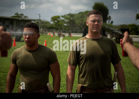 Cpls. Marc A. Rivera, Links, und David B. Gale mit OC während der Non-Lethal Waffen Instructor Kurs auf Camp Hansen, Okinawa, Japan, Nov. 27, 2015 gesprüht. Bevor die Kursteilnehmer Instructor Certification als nicht-tödliche Waffen Lehrer verdienen, müssen Sie sich mit dem Spray vertraut machen und seine Auswirkungen aus erster Hand zu erleben. Rivera, aus Springfield, Massachusetts und Gale, von Kennewick, Washington, werden sowohl chemische, biologische, radiologische und nukleare Verteidigung Spezialisten mit 3Rd Marine Division Headquarters Bataillon, 3rd Marine Division, III Marine Expeditionary Force, und h Stockfoto