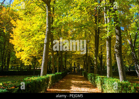 La Isla Gärten im Herbst. Aranjuez, Provinz Madrid, Spanien. Stockfoto