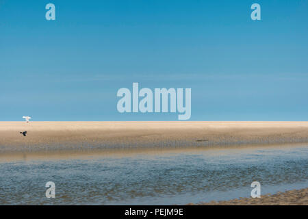 Am Strand von St. Peter-Ording in Deutschland Stockfoto