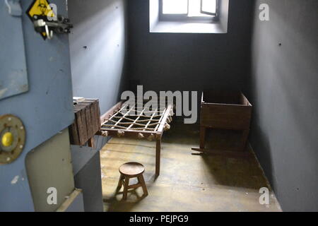 Shrewsbury Gefängnis, genannt die Dana, die in 2013 abgeschlossen und ist jetzt offen für jailhouse Touren. Geführte Tour. Verlassenen, Verfallenen. Stockfoto