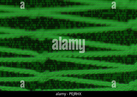 Binäre net von digitalen Informationen. Grüne Linien und Knoten 1 und 0 Ziffern. Datenübertragung auf schwarzem Hintergrund. Idee der Digitalisierung, Cyberspace, Spy. Stockfoto