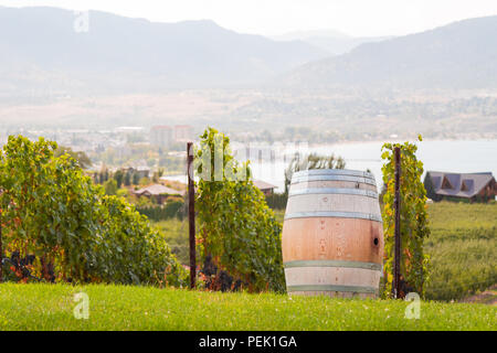 Wein Faß auf einen Weinberg mit Blick auf das Okaganan See. Stockfoto