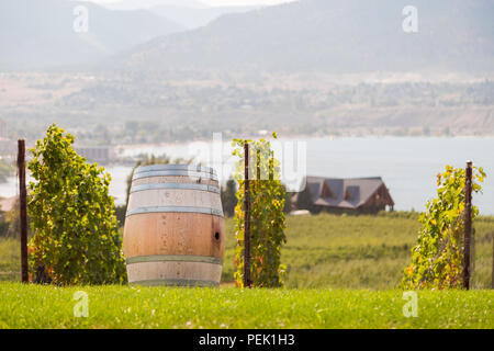 Wein Faß auf einen Weinberg mit Blick auf das Okaganan See. Stockfoto