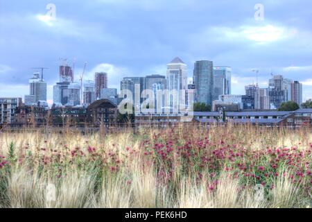 Blick auf Canary Wharf im Sommer Stockfoto