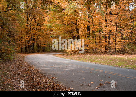 Herbst Szene mit Straße Stockfoto