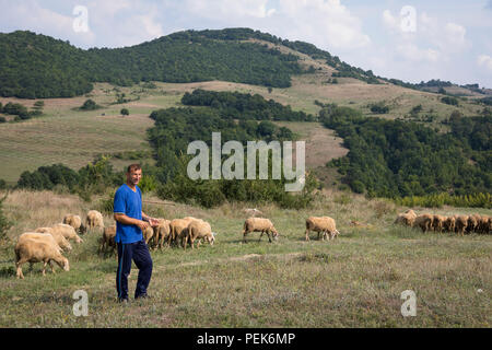 Hirte seine Herde von Schafen entlang der Landschaft Felder Kardschali Provinz, Bulgarien Stockfoto