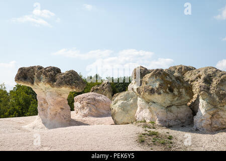 Die steinpilze Felsformationen in der Nähe von Beli Plast, Kardschali Provinz, berühmten Natur Sehenswürdigkeiten in Bulgarien Stockfoto