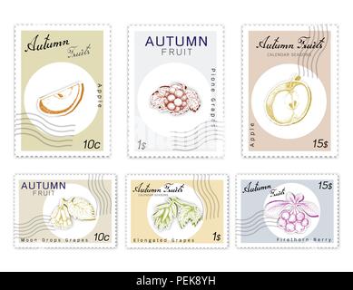 Herbst Früchte, Post Briefmarken Satz von Hand gezeichnete Skizze Verlängerte oder Hexe Finger Trauben mit Mond fällt, Pione Trauben-, Apfel- und Firethorn Beeren in Oder Stock Vektor