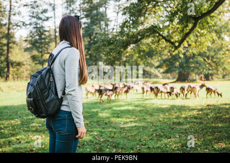 Junge schöne Mädchen reisen mit Rucksack an den wilden Rentiere grasen in der Ferne suchen Stockfoto