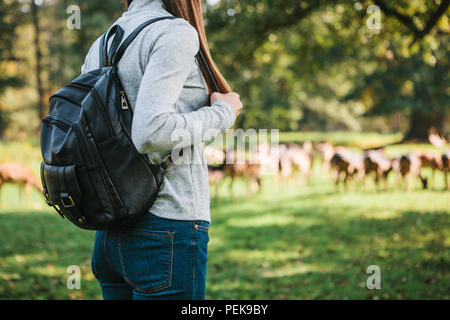 Junge schöne Mädchen reisen mit Rucksack an den wilden Rentiere grasen in der Ferne suchen Stockfoto