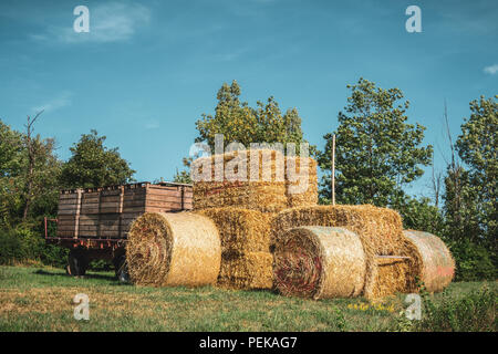 Farm Traktor aus Heuballen, Heu- und Strohballen mit Anhänger auf einer Wiese im Sommer, Elsass, Frankreich. Stockfoto