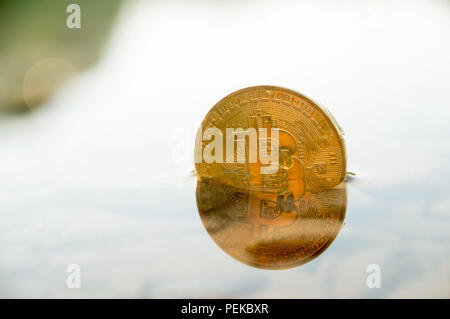 Bitcoin crypto Währung Absinken mit Bär trends Stockfoto