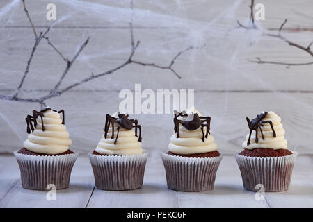 Festliche Halloween Cupcakes mit Schokolade Spinnen in einer Reihe auf weißen Holzbohlen in blue Moonlight, spider web Hintergrund Stockfoto