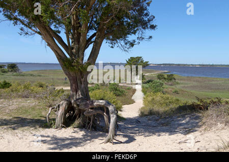 FORT FISHER; NORTH CAROLINA; USA - APRIL 20; 2018: Menschen schlängeln sich entlang der historischen Strecke durch Fort Fisher, ein Verbündeter Fort Festung während Stockfoto