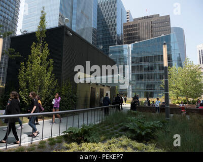 Salesforce Park sitzt oben auf der Salesforce Transit Center in der Innenstadt von San Francisco, Kalifornien, USA Stockfoto