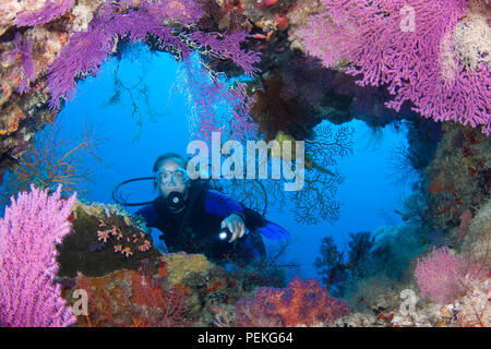 Diver (MR) am Eingang zu einer Höhle alcyonarian gefüllt mit Gorgonien und Korallen. Tubbataha Riff, Philippinen. Stockfoto