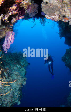 Diver (MR) am Eingang zu einer Höhle mit alcyonarian Gorgonien und Korallen. Tubbataha Riff, Philippinen. Stockfoto