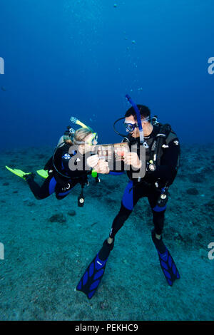 Taucher (MR) auf einem Riff lesen ein Fisch Identifizierung buchen Sie unter Wasser. Palau, Mikronesien. Stockfoto
