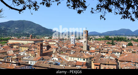 Panoramablick vom Torre Guinigi Turm (Torre Guinigi) in Richtung Torre delle Ore (Uhrturm) in Lucca Stockfoto