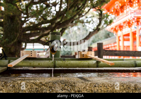 Japanischer Schrein eine Schöpfkelle ein Bambus Rohr sprießen Wasser. Traditionelle shintoismus Ritual der Reinigung. Die japanische Kultur Stockfoto