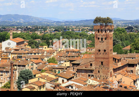 Blick vom Torre delle Ore (Erz Turm), eine Uhr - Turm in Lucca, Toskana, Italien in Richtung Torre Guinigi (Guinigi Turm) Merkmal von Bäumen auf der Oberseite Stockfoto