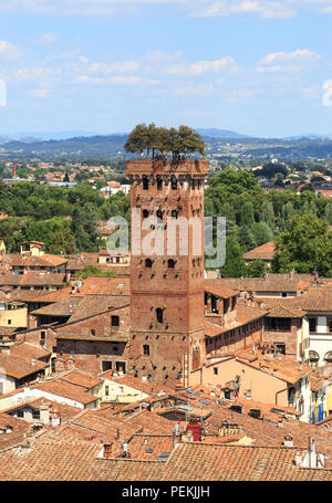 Blick vom Torre delle Ore (Erz Turm), eine Uhr - Turm in Lucca, Toskana, Italien in Richtung Torre Guinigi (Guinigi Turm) Merkmal von Bäumen auf der Oberseite Stockfoto