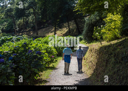 Ältere Urlauber zu Fuß auf einem Pfad in den subtropischen Trebah Garten in Cornwall. Stockfoto