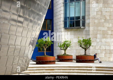 Blick auf das Guggenheim Museum in Bilbao von Frank Gehry Spaindesigned Stockfoto