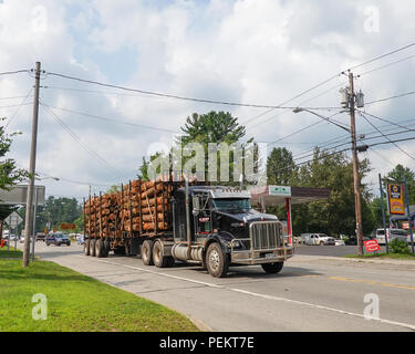 Eine geladene Kenworth Sattelschlepper schleppen Protokollen über Spekulant, NY, USA Stockfoto