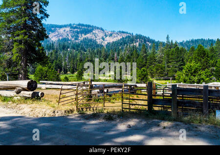 Ein viehzüchter am Adler Wiese in der stanslaus National Forest Kalifornien Corral Stockfoto