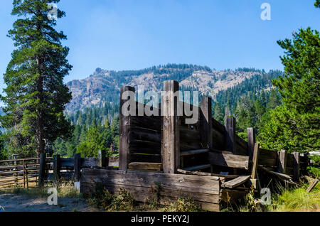 Ein viehzüchter Corral und Vieh Rutsche an Adler Wiese in der stanslaus National Forest Kalifornien Stockfoto