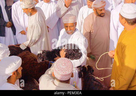 NIZWA, OMAN - Februar 3, 2012: Die Ziege Markt mit Omanischen Männer traditionell gekleidet und Ziegen Stockfoto