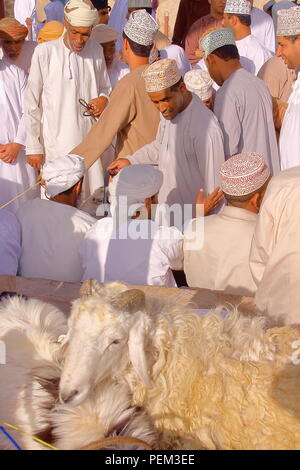 NIZWA, OMAN - Februar 3, 2012: Omani Männer traditionell gekleidete Teilnahme an der Ziege Markt mit einer Ziege in den Vordergrund Stockfoto