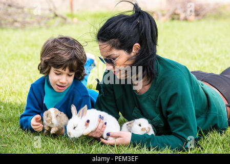 Mutter und ihr Sohn Holding kleine Hasen und Festlegung auf Gras im sonnigen Tag Stockfoto