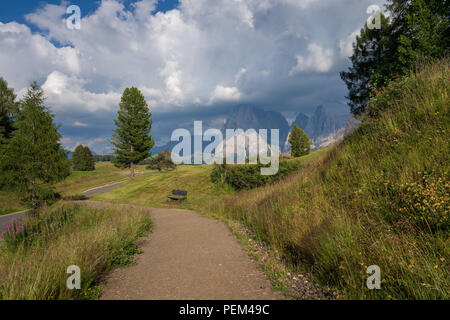 Blick auf die Seiser Alm. (Seiser Alm) Stockfoto