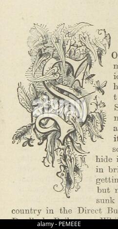 Historisches Archiv Bild entnommen von Seite 218 des 'Cassell Illustrated Messwerte, etc. (Neue Ausgabe). Stockfoto